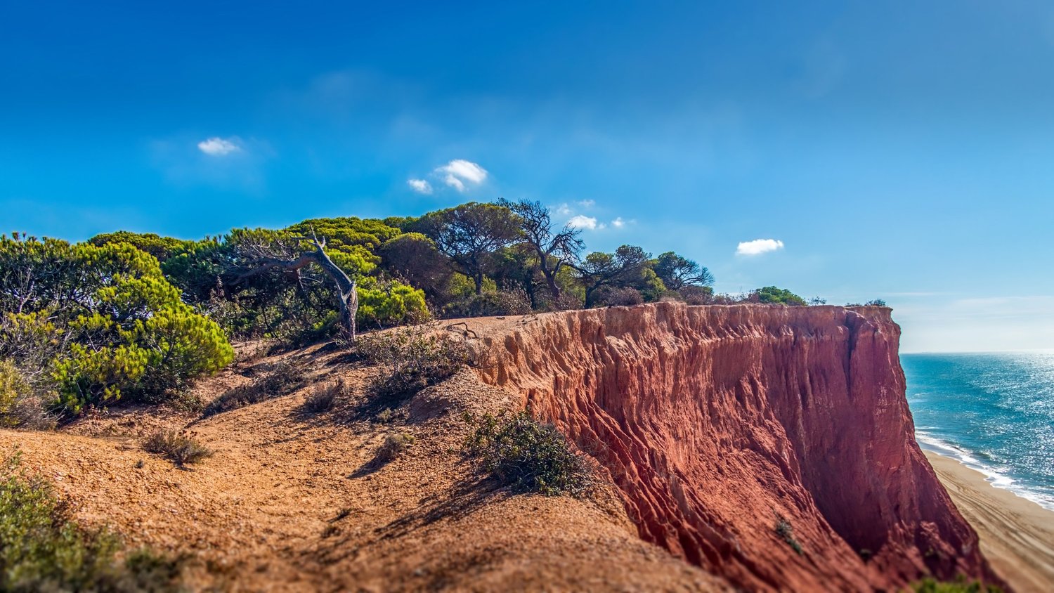Algarve cliffs